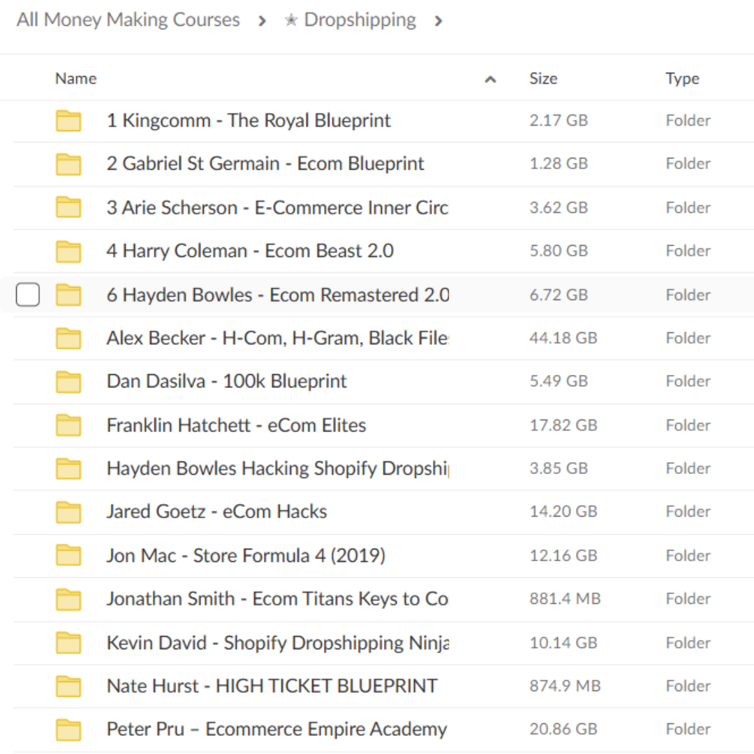 Dropshipping Courses Details