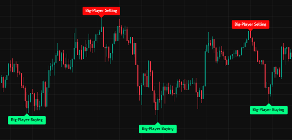 OperatorAlgo chart preview 1