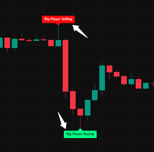 OperatorAlgo chart preview 2