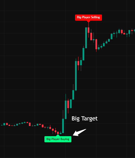 OperatorAlgo chart preview 3
